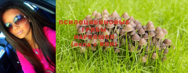 дурь Липки