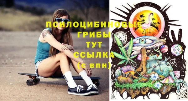 spice Лихославль