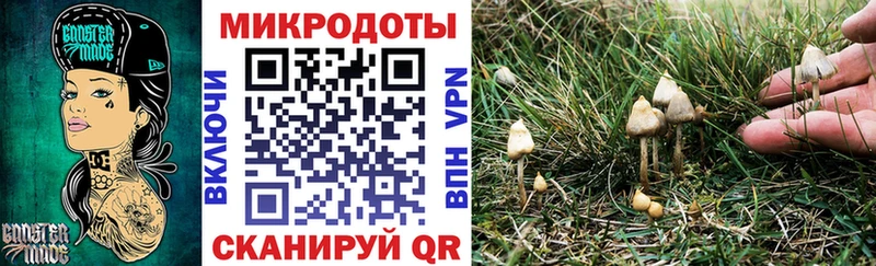 Псилоцибиновые грибы мухоморы  Суджа 